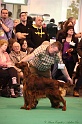 Crufts2011_2 081